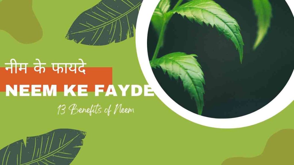 Neem Ke Fayde in Hindi, नीम के फायदे (13 Benefits of Neem)