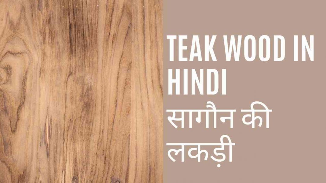 Teak Wood In Hindi सागौन की लकड़ी 1068x601 