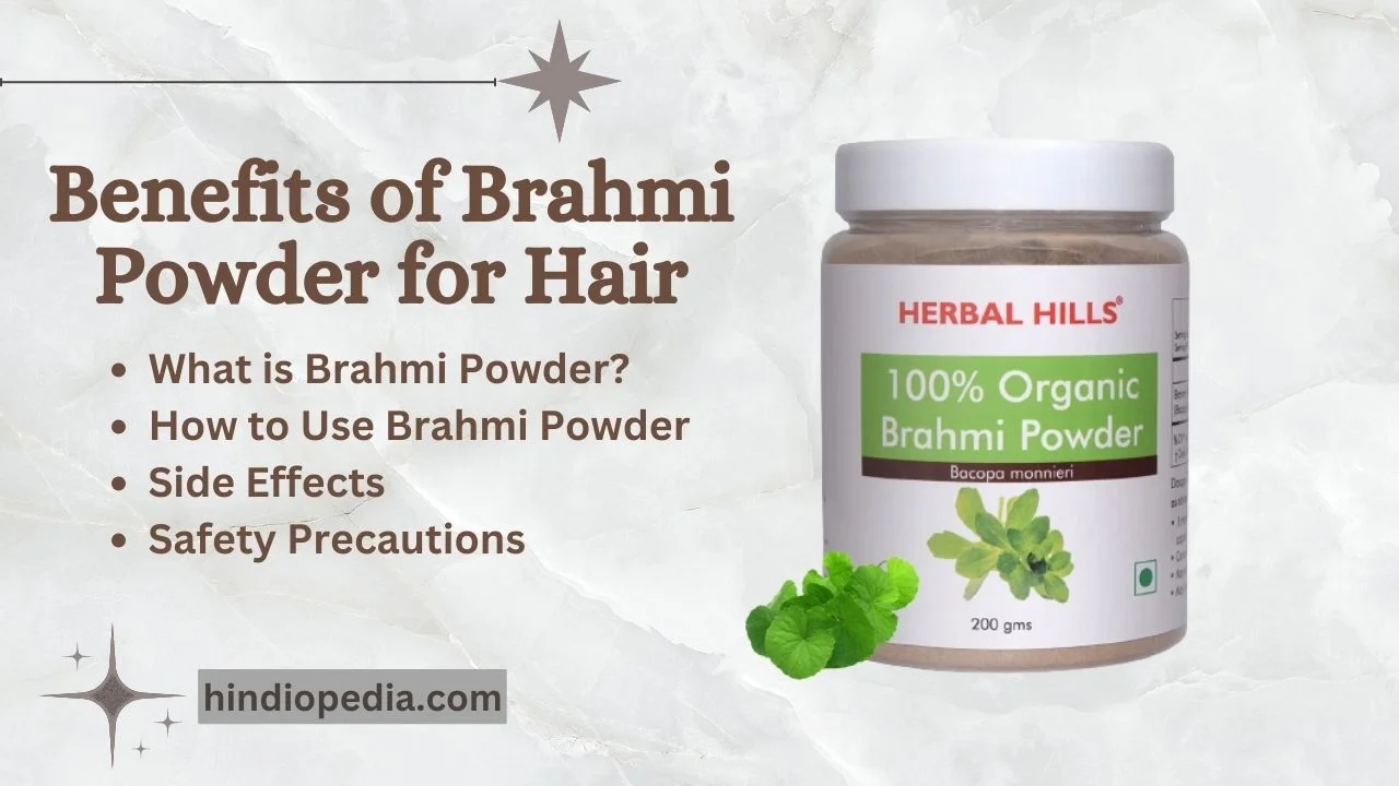 Benefits of Brahmi Powder for Hair - Regrow Your Hair   👨‍⚕️