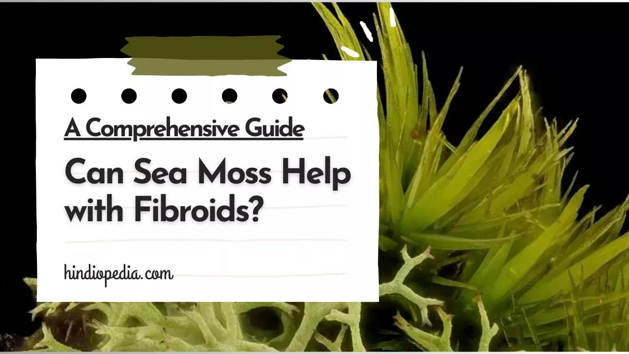 Can Sea Moss Help with Fibroids