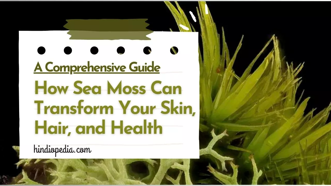 Everything You Need to Know about Sea Moss