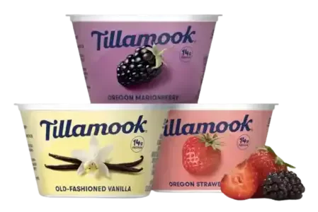 What is Tillamook Yogurt