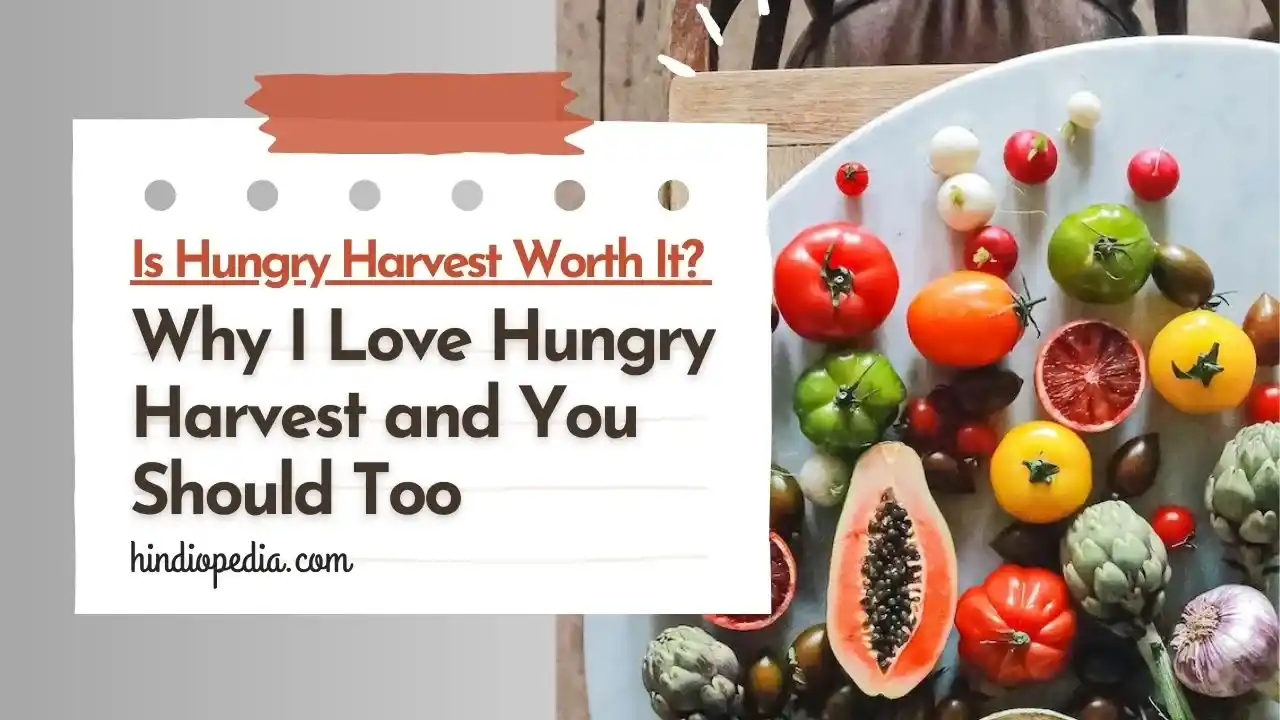 Is Hungry Harvest Worth It